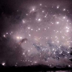 雷蕾丁思聪酒店原声
