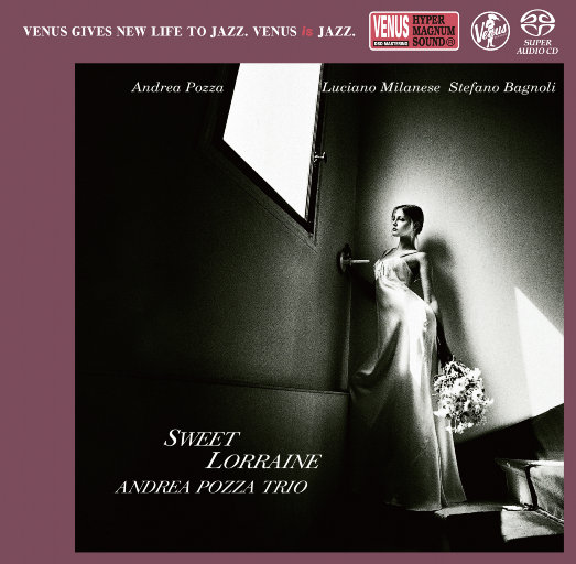 雷蕾丁思聪酒店原声
